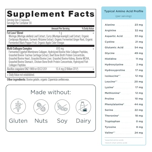 Ancient Nutrition Advanced Collagen Protein Lean with Probiotics, Hydrolyzed Collagen Peptides Supports Healthy Weight Loss* and Fat Loss*, 90 Count - Image 3