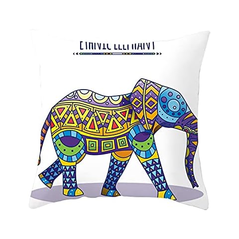 Coussin Lieson 50x50 Cover