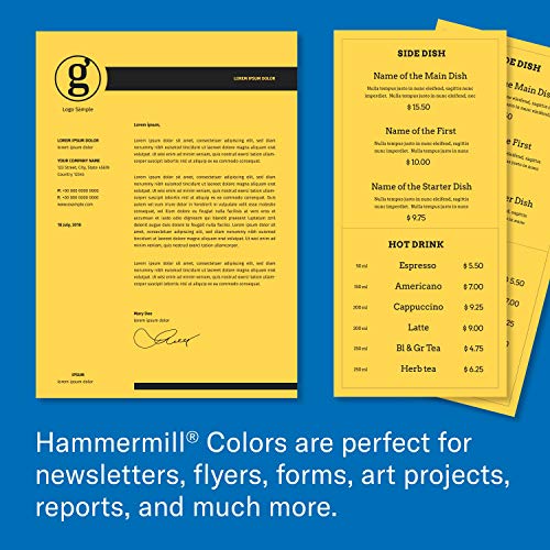 Hammermill Colored Paper, 20 Lb Goldenrod Printer Paper, 8.5 X 11-1 Ream (500 Sheets) - Made In The Usa, Pastel Paper, 103168R #TOP6