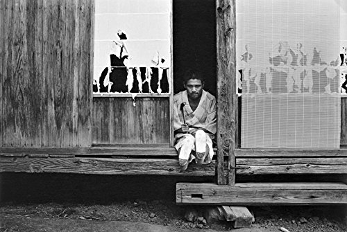 Provoke: Between Protest and Performance