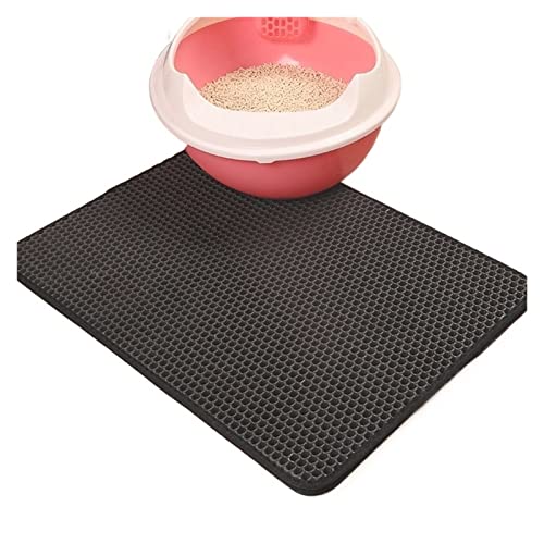 Cecotec Bicicleta Estática Indoor con Volante de Inercia de 10Kg DrumFit Indoor Teseo. Resistencia Manual, Monitor LCD, Transmisión por Correa, Soporte de Dispositivos, Botella y Portabotellas