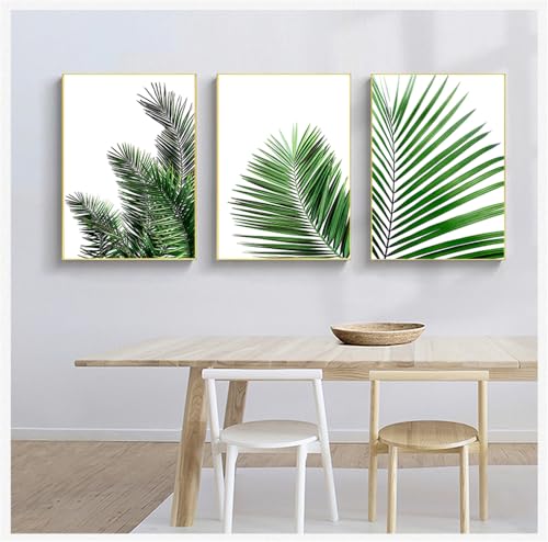 Affiches botaniques lot de 3 tableaux tropicaux nordiques sans cadre 60x70cm pour salon