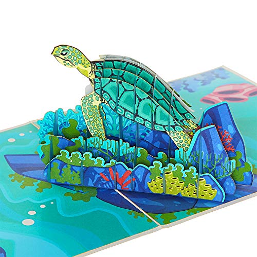 Image of Rykamia Turtle Pop Up Card, Blank Turtle Card With Envelop, Turtle Birthday Card, Get Better Soon Card, Sea Turtle Gifts For Women, Men, Card For Granddaughter, Grandson, Thank You Card Turtle