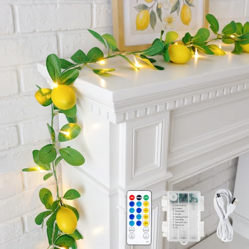 HEYFUNi 18 Led 6FT Lemon Garland Vine with Lights USB & Battery Operated