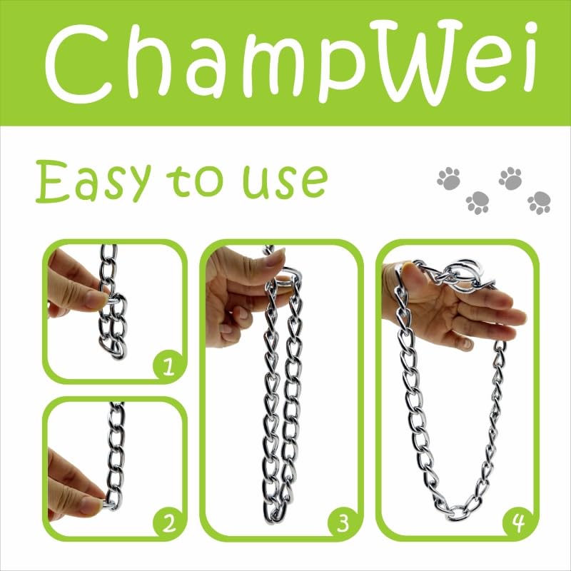 Dog-Choke-Collar-Slip-P-ChainHeavy-Chain-Dog-Metal-Training-Choke-Collars-Adjustable-Weather-Proof-Alloy-Steel-Necklace-for-Small-Medium-Large-DogsSilver-M - Cucciolini Doodles   Dog-Choke-Collar-Slip-P-ChainHeavy-Chain-Dog-Metal-Training-Choke-Collars-Adjustable-Weather-Proof-Alloy-Steel-Necklace-for-Small-Medium-Large-DogsSilver-M