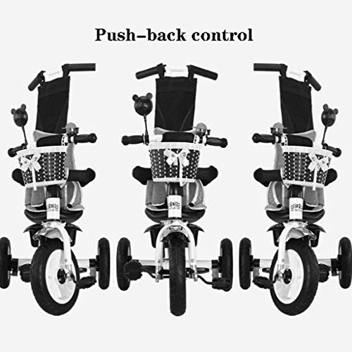 Waljx Children's Tricycle Baby Stroller Toddler Toy Car Multifunctional Bicycle Safety Belt Fence Riding Toys Baby Birthday Present (Color : Gray) (Color : Purple) #TOP3