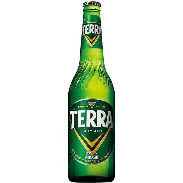 JINRO TERRAビール [ JINRO 眞露 ビール4.5度 500ml×12本 ビン ]