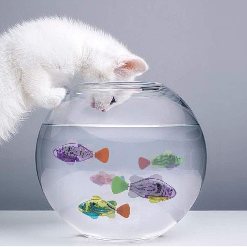 Two Men Convicted in Federal Crackdown on Illegal Whale Part Trafficking 16 Swimming Engaging Pet Fish for Decor, Waterproof Light Electronic...