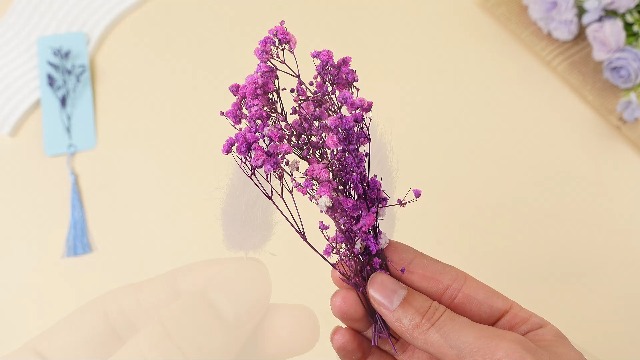 Flores secas moradas para manualidades y decoración 2 cajas miniatura 7