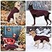 LIANZIMAU Hundejacke Wasserdichter Hundemantel Reflektierende Jacke für kaltes Wetter mit weichem Fleecefutter Warmer Mantel