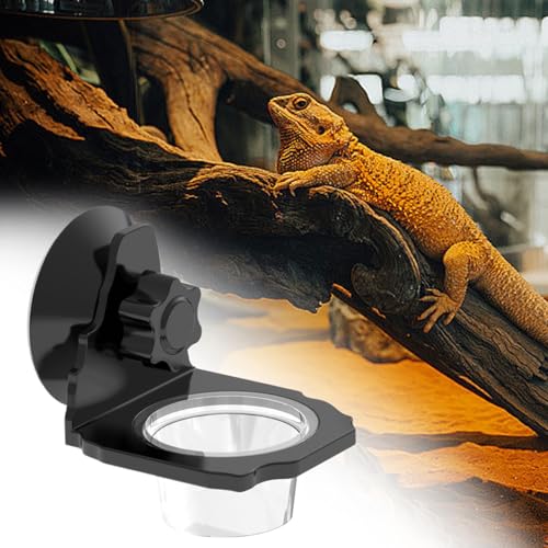 Gecko- Futterstation für Reptilien, Wassernapf, Futternapf, Saugnapf, Terrarienschale für Eidechse, Schlange, Schildkröte, Bartdrache, Spinne-2