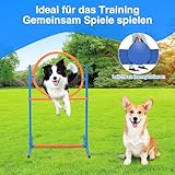 Herrselsam Agility Set Hunde groß, Agility-Ausrüstungs-Set für Hunde, Hundetraining zubehör Agility Hürde, Sprungring, Hundetunnel, 8 Slalomstangen, Ball, Pfeife, Tragetasche, Perfekt für den Park