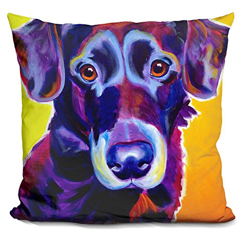 LiLiPi Lab Cole Decorative Accent Throw Pillow