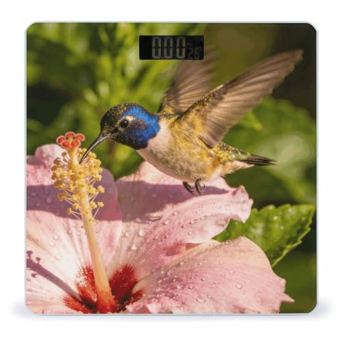 Báscula digital de baño con vidrio templado y pantalla LED miniatura 1