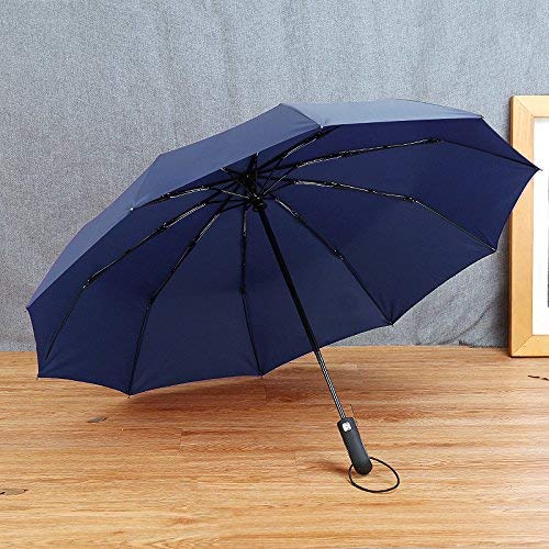 Parapluie de Haute qualité Hommes Business avec Poignée incurvée Chic