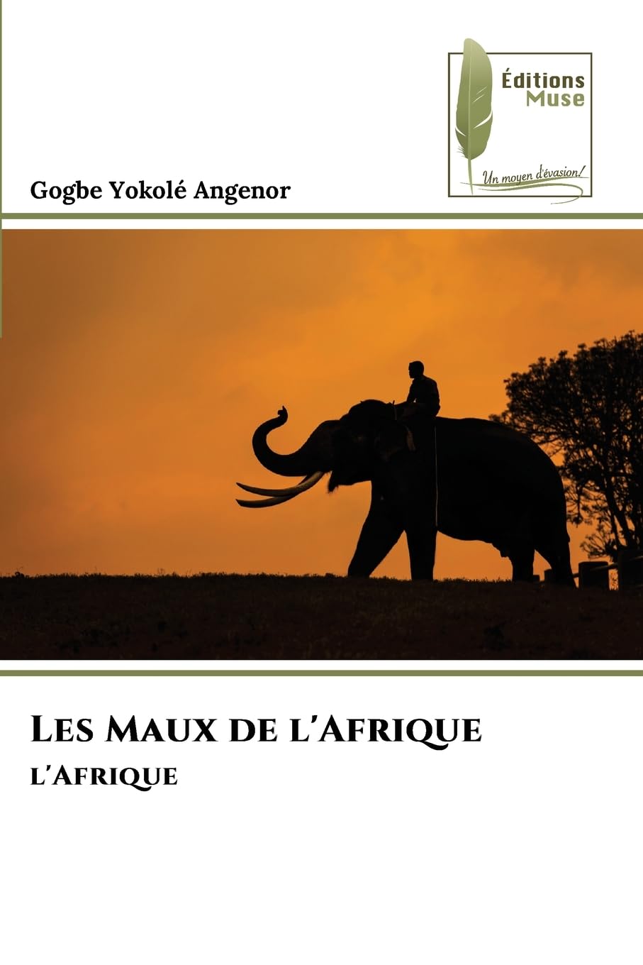 Les Maux de l'Afrique