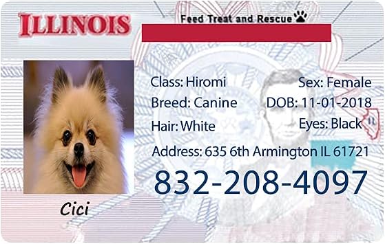 Illinois Driver License Custom Dog Tag for Pets - Personalized Pet ID Tags - Dog Tags for Dogs - Dog ID Tag - Personalized Dog ID Tags - Dog Tags - Pet ID Tags for Cats - Available for All 50 States