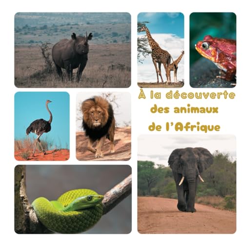 À la découverte des animaux de l’Afrique