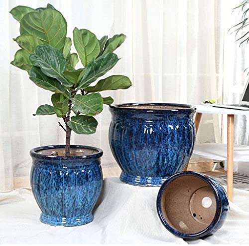 Récipient pour plantes de jardin utilisation intérieure ou extérieure bleu - 4