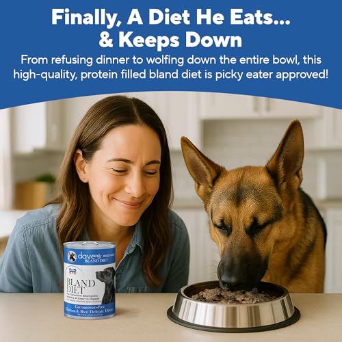 Dave's Pet Food Bland Diet Dog Food (Chicken & Rice), Sensitive Stomach, Easy to Digest, Gluten-Free, Digestive Care, Wet Canned, 13.2 oz (Case of 12)