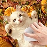 Haselnüsse aus Deutschland - 1.Wahl - Ganze Nüsse für Mensch und Tier! Oder als Nagetierfutter, Tierfutter, Futter für Eichhörnchen, Streifenhörnchen, Nagetiere und Papageien - 3 Kg