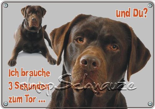 Hundeschild Aus Metall – Brauner Labrador Retriever, DIN A3, UV-beständig Für Den Außenbereich