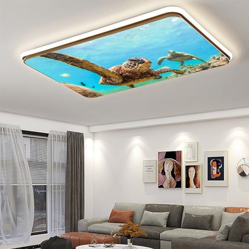 Image of 2 Pack Fluorescent Light Cover for Ceiling Light Classroom-Sea Turtle Magnetic Light Cover Fluorescent Light Shade Panel, Decorative Film Filter for Reducing Harsh Glare Home Decorations