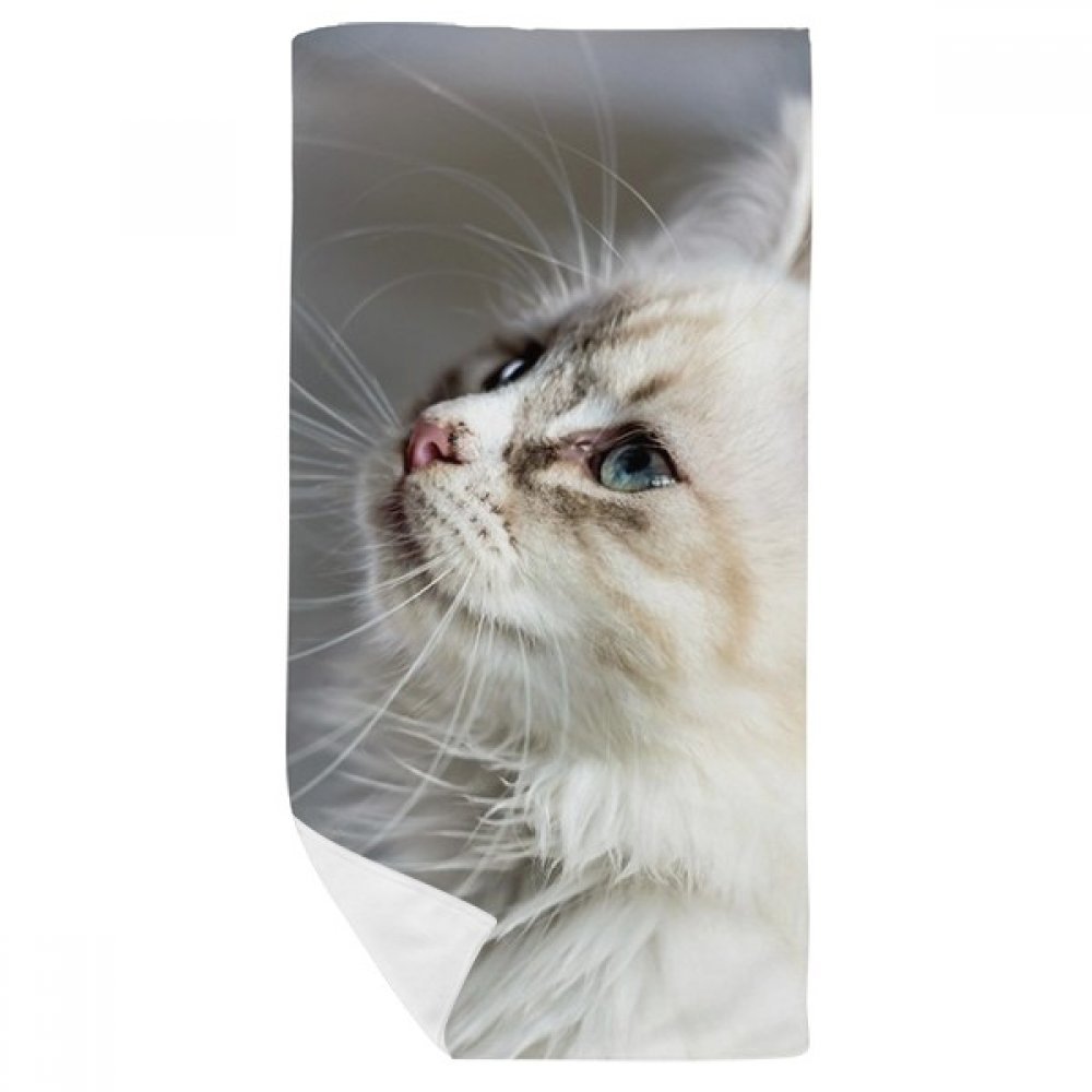 Serviette de bain chat mignon pour le soin du visage et la toilette des enfants