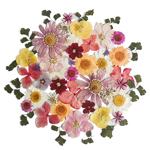 あじさいやマーガレット