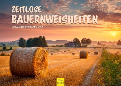 Edition Seidel Calendario premium atemporal de campesinos 2026, formato DIN A3, calendario de pared, calendario artístico, cuento de hadas, fantasía, mundos de ensueño, ilustración Melanie Viola