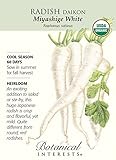 Miyashige White Daikon Radish Seeds - 2 g - Organic