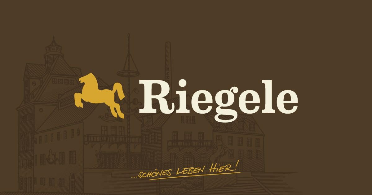 Riegele Geschenkbox Auris 19 - Goldenes Feuer - Das malzige Starkbier, Craft Beer aus Bayern (8 x 0,33l)
