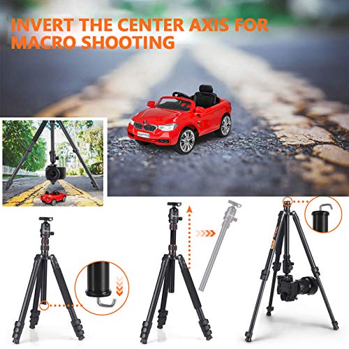 TACKLIFE 70 Inch Tripod with Monopod, Max Load Capacity of 18 Lbs, Aluminum Travel Tripod with 360 ° Ball Head & Quick Release Mount, Bluetooth Remote, Suitable for Smartphone and DSLR Camera -MLT05