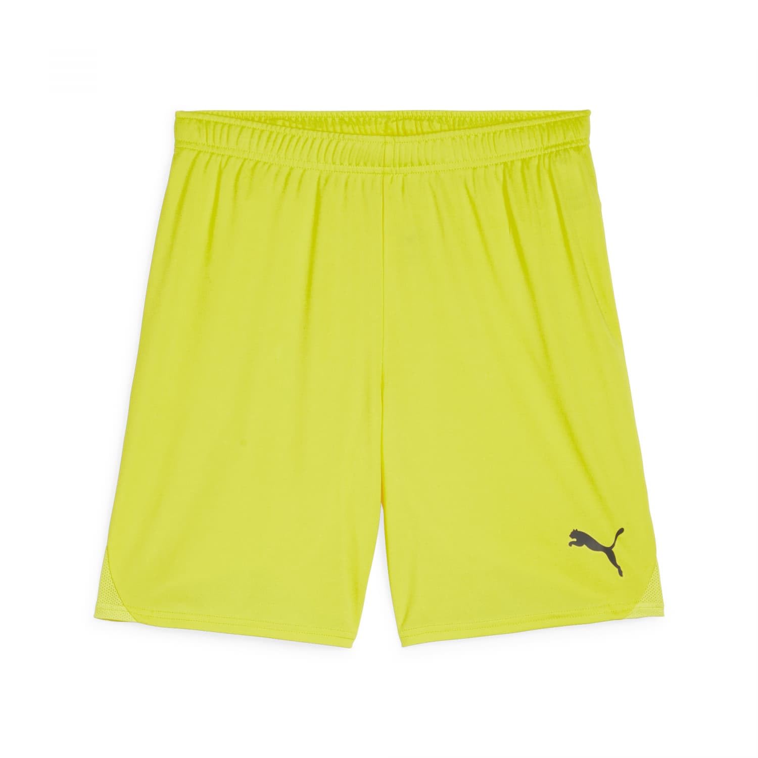 PUMA teamGOAL Shorts
