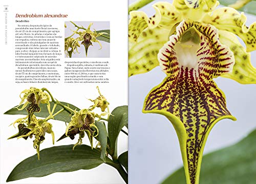 Enciclopédia das Orquídeas (Coleção - 21 Volumes)