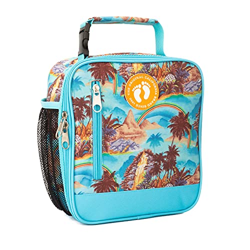 Hang Ten Basic Insulated Lunch Bag For Work, Thermal Reusable Office Lunch Box For Men, Women (Island Rainbow) #TOP17