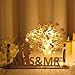 Fiada Regalos de Boda Árbol de Dinero de Madera MRS&MR Guirnaldas de Luces LED 2 Tubos de Ensayo Decoración de Árbol Regalo de Recién Casados para Amigos Familias Imagen de Fiada Regalos de Boda Árbol de Dinero de Madera MRS&MR Guirnaldas de Luces LED 2 Tubos de Ensayo Decoración de Árbol Regalo de Recién Casados para Amigos Familias