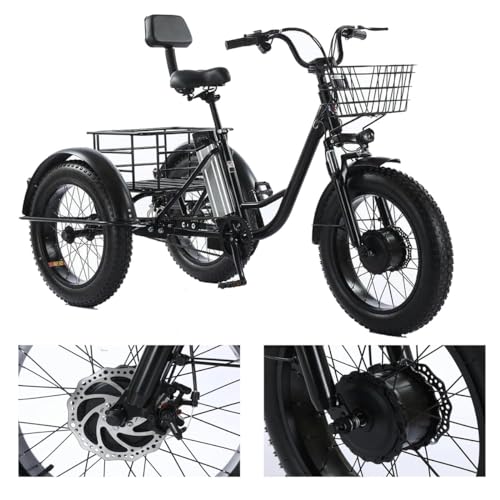 Triciclo elettrico per adulti, adatto a ragazzi e adulti, 500W 48V, 20" Fat Tire, 3 ruote, con batteria rimovibile e kit di attrezzi, adatto a tutti i terreni.