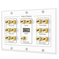 Algopix Similar Product 11 - TNP Home Theater Speaker Wall Plate