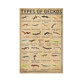 AYTREDF Poster mit Gecko-Arten, Retro-Wissen, 
