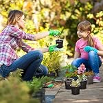 30 Pack 3.5/4/4.5 Inch Pots de chambre de bébé transparents pour les plantes avec des trous de drainage Durable flexible alimentaire-Grade plantes en plastique transparent Pots Starter avec 20pcs Étiquettes (30, 3,5+4+4,5 pouces)