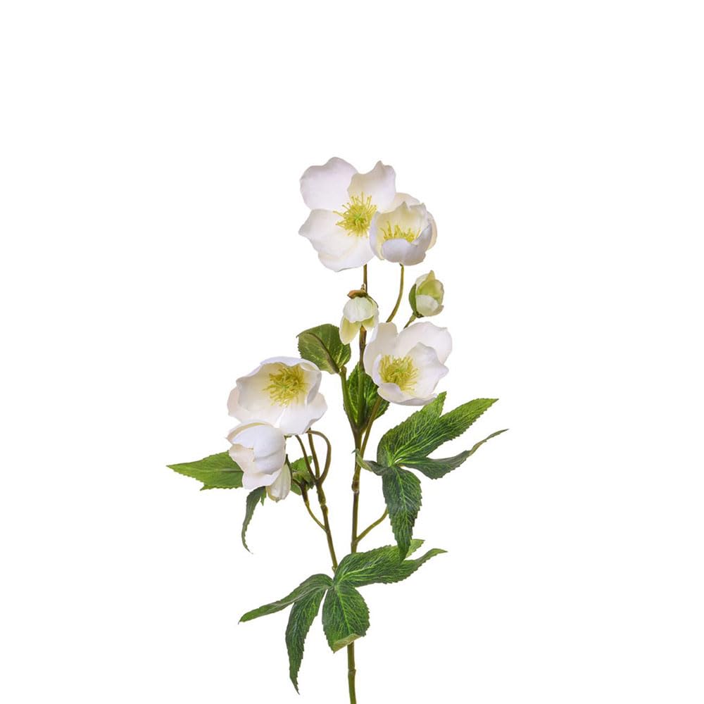 FloristryWarehouse Faux Silk Helleborus Flower Stem 55cm Tall White
