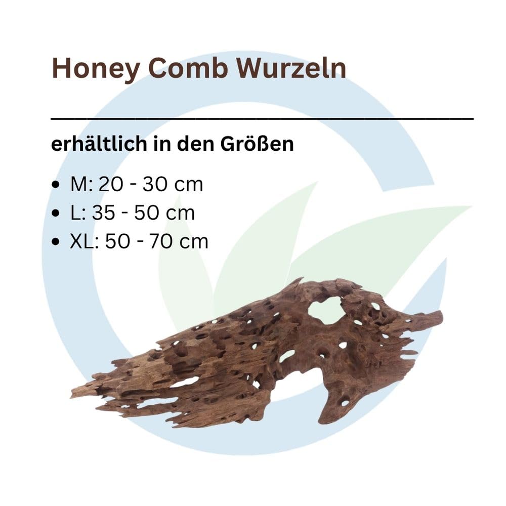 AquaOne Honey Comb Wurzel XL 1 Stück Aquarium Wurzel Mangrove Holz Deko Aquascaping Dekoration Landschaft Moos Natur Echtholz