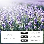 NORVENCE Scented Candles Gift Set, Stress Relief Candles for Home, Premium Soy Candle Set, Candles for Women and Men, Birthday & Christmas Gifts (Black & White, 7 oz) - Image 3