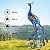 Kircust Peacock Garden Statue and Sculpture, Metal Peacock Yard Art Decor, Standing Bird Outdoor Sculptures for Patio Backyard Lawn Home Decoration