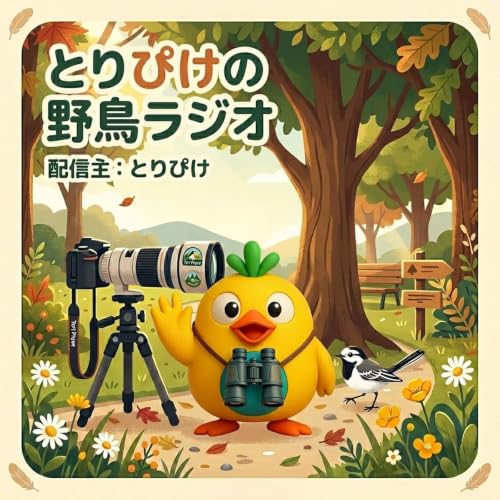 野鳥ラジオはじめます！野鳥観察・撮影の魅力を語る