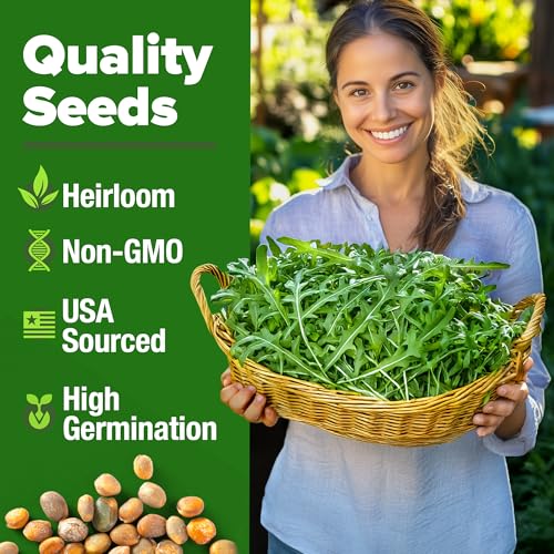 Image of HOME GROWN Arugula Roquette Seeds 4350+ Bulk Pack Heirloom Non-GMO, High Germination, Peppery Salad Greens, Indoor Outdoor Hydroponic Garden, Microgreens, Year-Round Harvest (Eruca vesicaria)