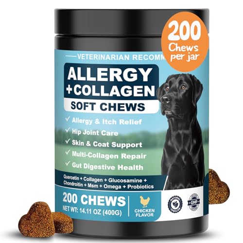 Best Multivitamin For Dogs Allergies And Itching