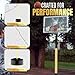 Western Star Basketball Rebounder