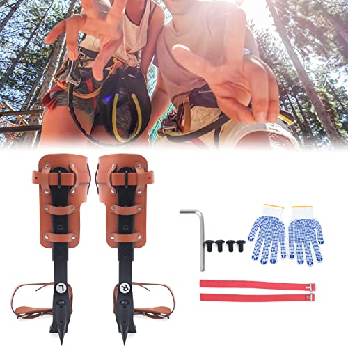 Tree Climbing Spikes, Pole Climbing Spurs Tree Climbing Spike Set Pole Climbing Spurs Carbon Steel Adjustable Climber Arborist Equipment for Climbers, Logging, Hunting Observation, Fruit Picking